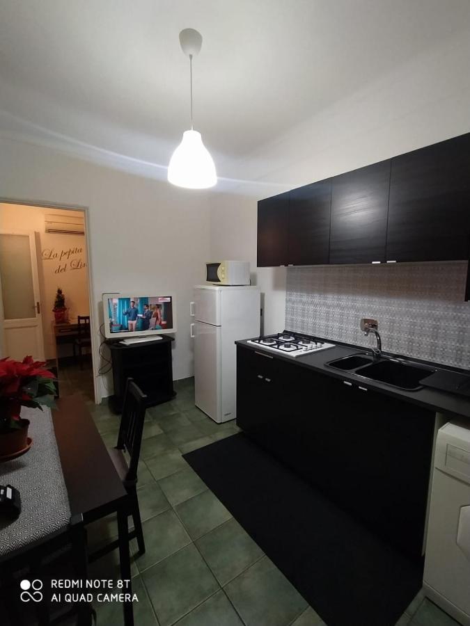 La Pepita Del Ling8 Apartment Turin Exterior photo